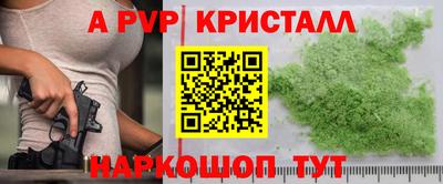 СК Котовск