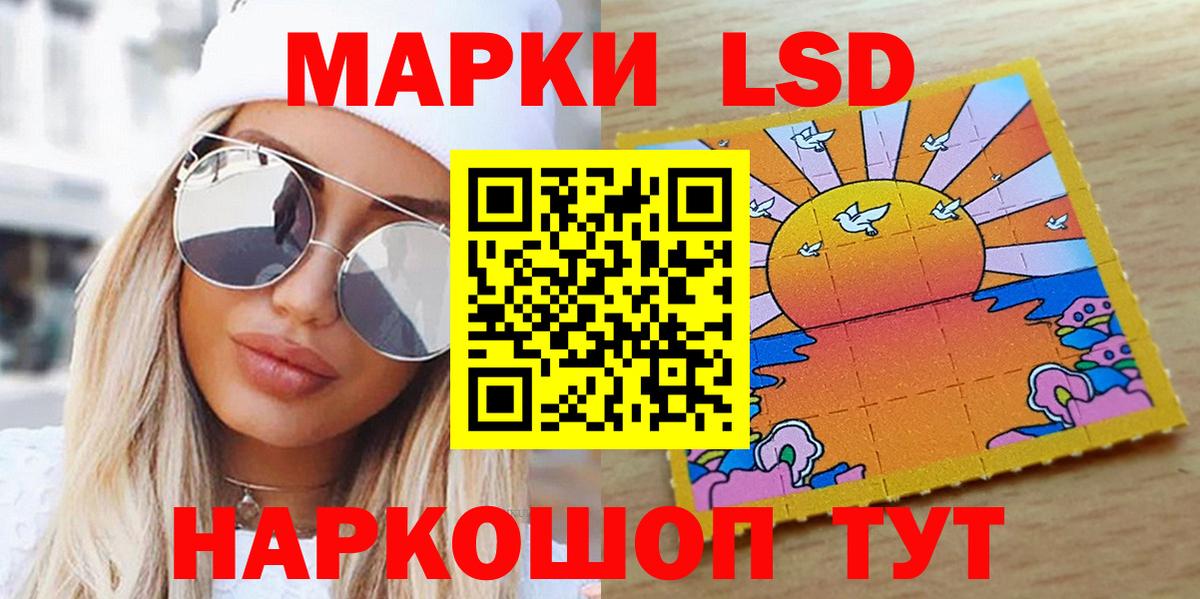 LSD-25 Кохма